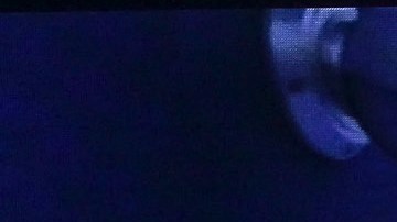 La Casa de los Famosos México | Foto: Mezcalent