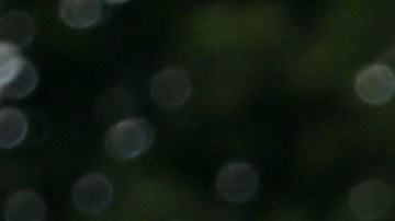 Dayanara Torres enamoró a sus fans con un look muy 'Barbie'.