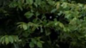 Suecia acusa a Greta Thunberg de bloquear un puerto petrolero