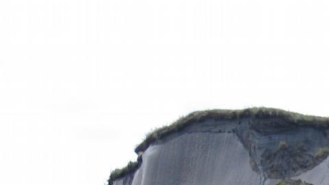 Un gusano del Permafrost ha sobrevivido más de 46.000 años
