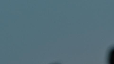 Llega la "Luna de Ciervo", la primera superluna del año que promete cautivar a miles
