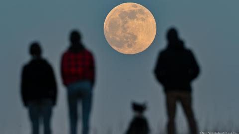 Llega la "Luna de Ciervo", la primera superluna del año que promete cautivar a miles
