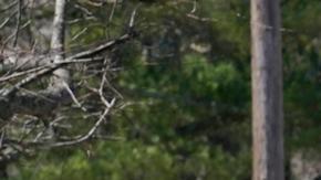 Hallan muerto a chef de expresidente de EE.UU. Barack Obama