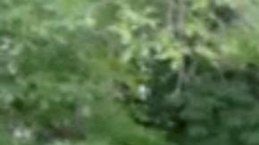 Televisión rusa acusa a jefe del Grupo Wagner de "enloquecer" por dinero