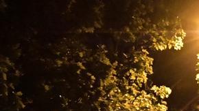 Francia: al menos 700 detenidos en disturbios nocturnos