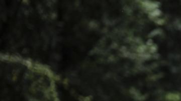 Migrantes cruzan un río mientras cruzan el Tapón del Darién de Colombia a Panamá,