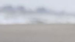 Taráchine, las mujeres de Fukushima que controlan la radiación en los alimentos y aún temen al "enemigo invisible"