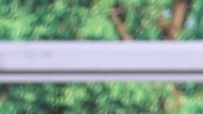 Ariel López Padilla salvó a José Emilio, hijo de Mariana Levy de la desgracia | Mezcalent.