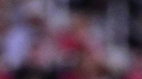 Quiñones anotó uno de los goles del clu azulcrema.