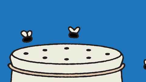 CR-Magazine-InlineHero-Best-Way-Get-Rid-of-Fruit-Flies-2308-0623