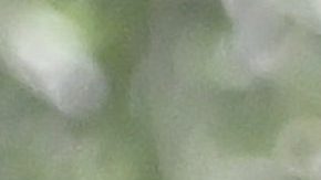 Clara Chía Martí y Gerard Piqué por las calles de Barcelona.