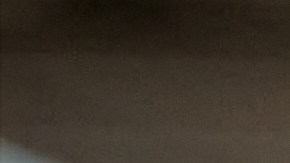 Compras sin impuestos en Florida