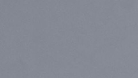 Javier 'Chicharito' Hernández.