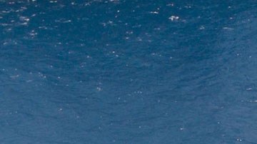 Armada de México
