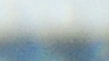 Bed bugs crawl around in a container on display during the 2nd National Bed Bug Summit in Washington, DC, February 2, 2011. In response to consumer concern about the rising incidence of bed bugs in the United States, the Federal Bed Bug Workgroup will hold the National Bed Bug Summit on February 1-2, 2011. During the meeting, panels will discuss bed bug initiatives, identify gaps in knowledge and outline suggested ideas for improving control on a community-wide basis. AFP PHOTO/Jewel Samad (Photo credit should read JEWEL SAMAD/AFP via Getty Images)