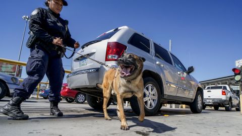 A US Customs and Border Protection canine team checks automobiles for contraband in the line to enter the United States at the San Ysidro Port of Entry on October 2, 2019 in San Ysidro, California. - Fentanyl, a powerful painkiller approved by the US Food and Drug Administration for a range of conditions, has been central to the American opioid crisis which began in the late 1990s. China was the first country to manufacture illegal fentanyl for the US market, but the problem surged when trafficking through Mexico began around 2005, according to Donovan. (Photo by SANDY HUFFAKER / AFP) / The erroneous mention[s] appearing in the metadata of this photo by SANDY HUFFAKER has been modified in AFP systems in the following manner: [A US Customs and Border Protection canine team] instead of [An Immigration and Customs Enforcement (ICE)]. Please immediately remove the erroneous mention[s] from all your online services and delete it (them) from your servers. If you have been authorized by AFP to distribute it (them) to third parties, please ensure that the same actions are carried out by them. Failure to promptly comply with these instructions will entail liability on your part for any continued or post notification usage. Therefore we thank you very much for all your attention and prompt action. We are sorry for the inconvenience this notification may cause and remain at your disposal for any further information you may require. (Photo by SANDY HUFFAKER/AFP via Getty Images)