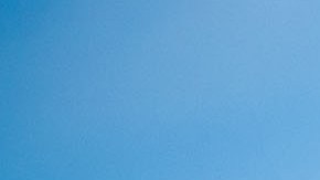 Autoridades de México y EE.UU. investigan crimen de estudiante de Universidad Berkeley en Sonora