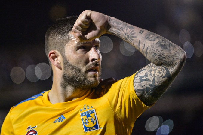 Gignac es uno de los mejores delanteros de la Liga MX. Azael Rodriguez - Getty Images.
