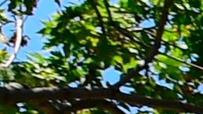 An arrow points toward Extreme Fire Danger today on September 4, 2020 as a vehicle passes along the Angeles Crest Highway in the San Gabriel Mountains northeast of Los Angeles in La Canada Flintridge. - A Labour Day weekend heatwave in Southern California could set all-time records with the scorching heat escalating the risk of fires. (Photo by Frederic J. BROWN / AFP) (Photo by FREDERIC J. BROWN/AFP via Getty Images)
