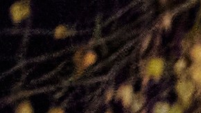 NEUMUENSTER, GERMANY - NOVEMBER 28: (EDITORS NOTE: Number plate has been obscured for privacy reasons.) Guests enjoy their dinner in a recreational vehicle (RV), provided by the cooking school in the parking lot of the Kochschule Neumuenster cooking school during the second wave of the coronavirus pandemic on November 28, 2020 in Neumuenster, Germany. The school, which is otherwise closed due to current lockdown measures, has begun offering the "candle-light RV dinners" three times a week for up to 15 RVs in an evening as a means to stay in business during the pandemic. Restaurants in Germany have been closed since the beginning of November and will likely remain so into January. (Photo by Morris MacMatzen/Getty Images)