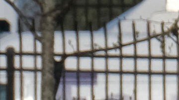 Policía en Indiana muere tras ataque de recluso durante una fuga fallida