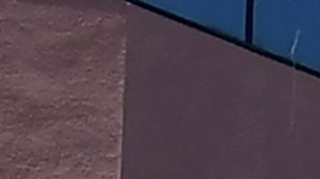 La disminución de la tasa de desempleo entre los latinos alcanzó un récord en junio.