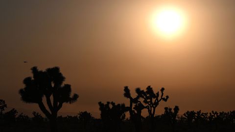 Más de 90 millones de personas en EE.UU. siguen bajo alerta por los calores extremos