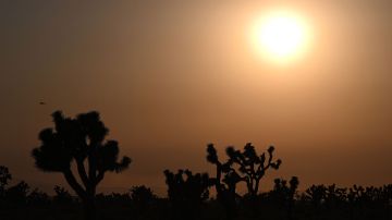 Más de 90 millones de personas en EE.UU. siguen bajo alerta por los calores extremos