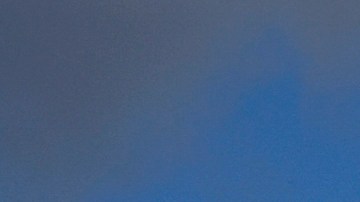 Raros delfines rosados son vistos ​​nadando en Louisiana