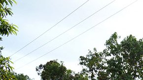Nueva ola migratoria invade la frontera sur de México, advierten activistas