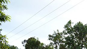 Nueva ola migratoria invade la frontera sur de México, advierten activistas