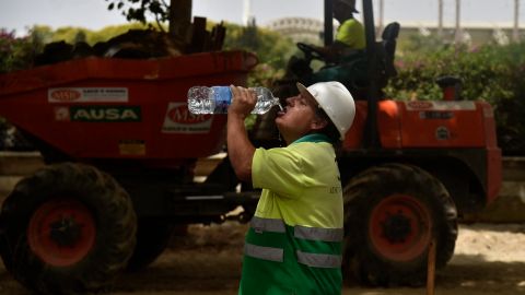 México, se estremece ante el calor y la muerte de personas, plantas, animales…