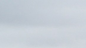 La misteriosa muerte de una manada de 55 ballenas varadas en una playa de Escocia