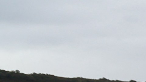 La misteriosa muerte de una manada de 55 ballenas varadas en una playa de Escocia