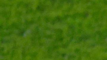 Selección de Portugal en el Mundial Qatar 2022.
