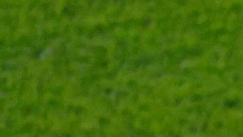 Selección de Portugal en el Mundial Qatar 2022.