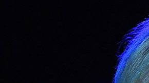 Campaña presidencial de Joe Biden y Kamala Harris para 2024 tendrá su sede en Wilmington, Delaware