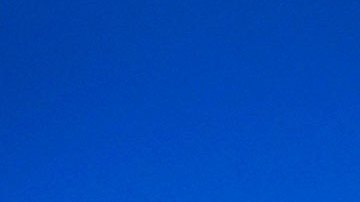 Elon Musk sustituirá el pajarito azul de Twitter por una “X”