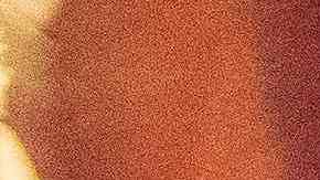 Fiscalía de EE. UU. investiga a la policía de Memphis por violación de derechos civiles