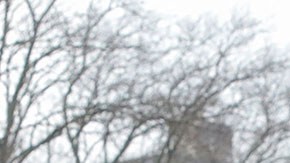 Linda Cristina Pereyra