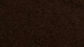 A photograph taken on February 20, 2023 shows a view of the iconic Ferber studio in Paris. (Photo by JOEL SAGET / AFP) (Photo by JOEL SAGET/AFP via Getty Images)