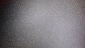 Alex Morgan y el USWNT celebrando gol.