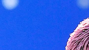 Julian Araujo en un entrenamiento con el FC Barcelona.