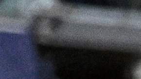 El Madrid jugará 4 partidos en Estados Unidos.