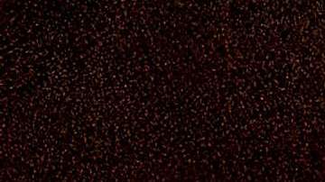 Inmigrantes son escoltados para comenzar su proceso de pedido de asilo en Eagle Pass, Texas.