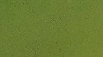 Rodolfo Pizarro, mediocampista con pasado en el Inter Miami.