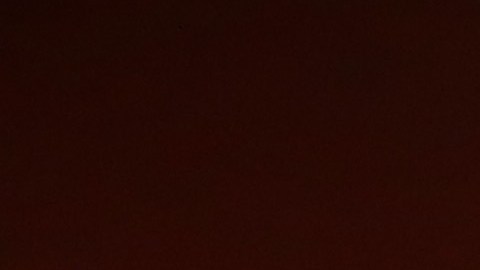 Canales ha sido internacional con España.
