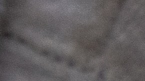 LA JOYA, TEXAS - APRIL 13: A Central American family boards a U.S. Customs and Border Protection bus for transport to an immigrant processing center after crossing the border from Mexico on April 13, 2021 in La Joya, Texas. A surge of immigrants crossing into the United States, including record numbers of children, has challenged U.S. immigration agencies along the southern border. (Photo by John Moore/Getty Images)