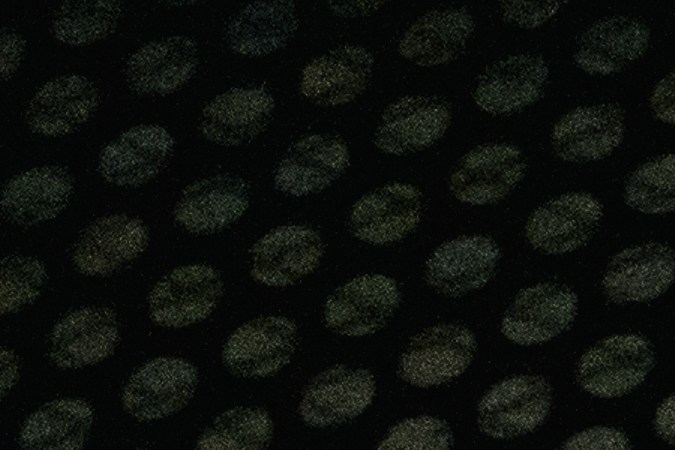 El gobernador de Florida Ron de Santis promulgó una ley que le autoriza a transportar a inmigrantes a otros estados.