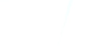 Fanaticada del LA Galaxy.